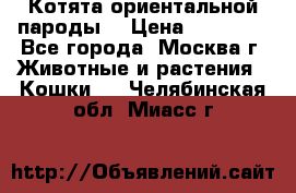 Котята ориентальной пароды  › Цена ­ 12 000 - Все города, Москва г. Животные и растения » Кошки   . Челябинская обл.,Миасс г.